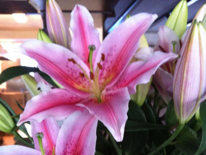 TEST